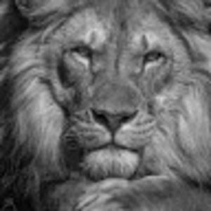 Meet your Posher, Shelly